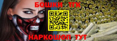 индика Владикавказ