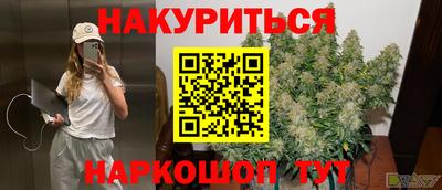 индика Владикавказ