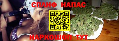 индика Владикавказ