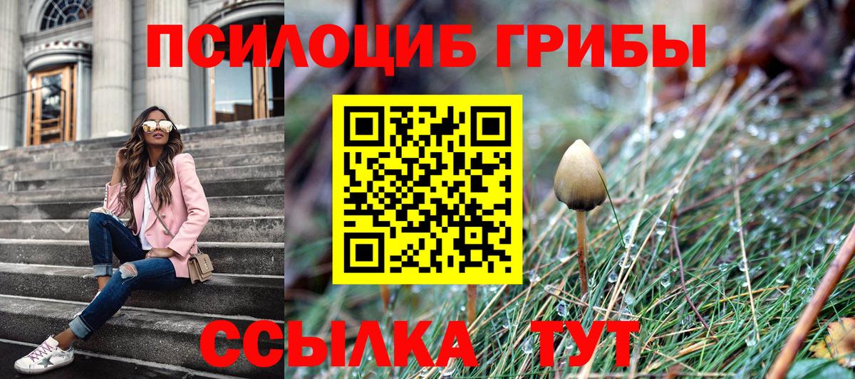 Ессентуки  Галлюциногенные грибы прущие грибы  Псилоцибиновые грибы мицелий  Вход с VPN 