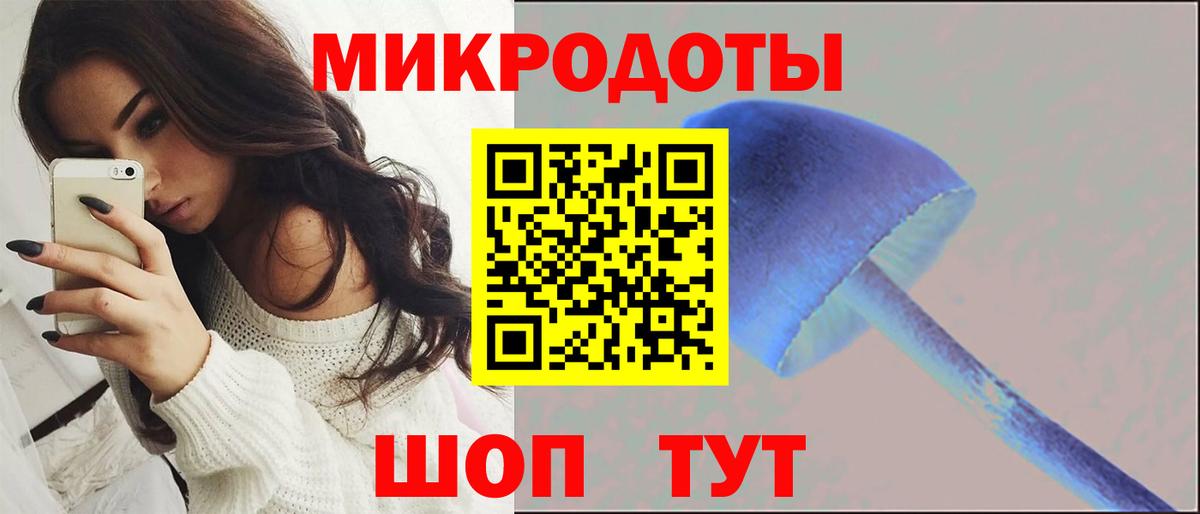 Псилоцибиновые грибы прущие грибы Ессентуки